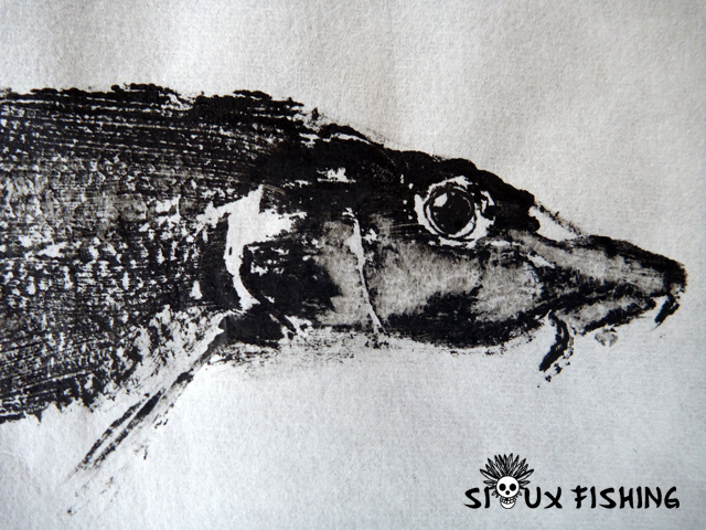 _22_Gyotaku - Barbeau collection 