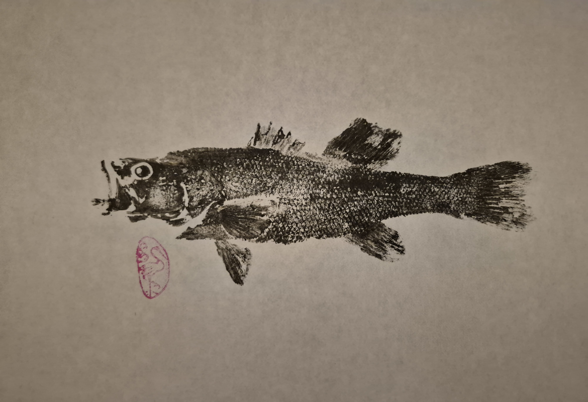 _44_Gyotaku - Black-bass collection 1