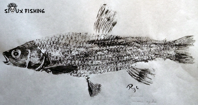 Gyotaku Chevesne
