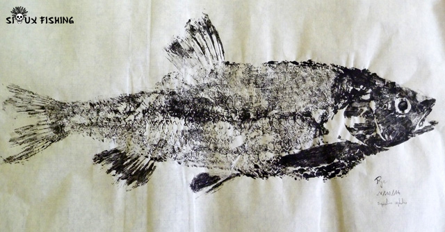 _27_Gyotaku - Chevesne collection