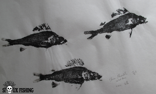 1_Gyotaku - Perches Collection