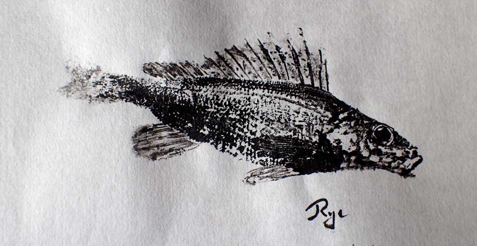 _29_Gyotaku - Grémille collection