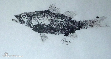 _41_Gyotaku Black bass collection