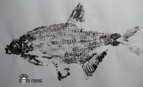 3_Gyotaku - Brème commune collection