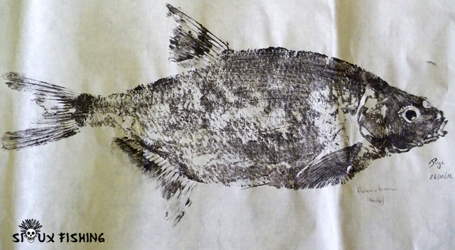 _25_Gyotaku - Brème commune collection