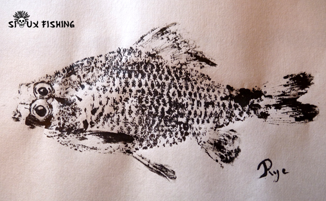 _16_Gyotaku - Carassin collection