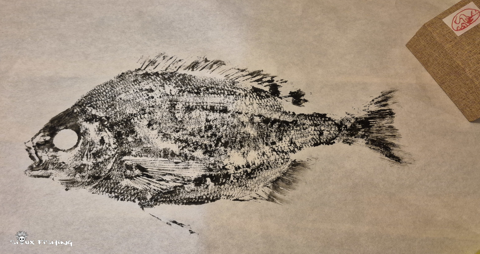 gyotaku de dorade grise