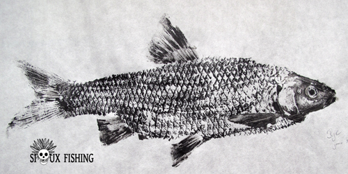 Gyotaku de gardon