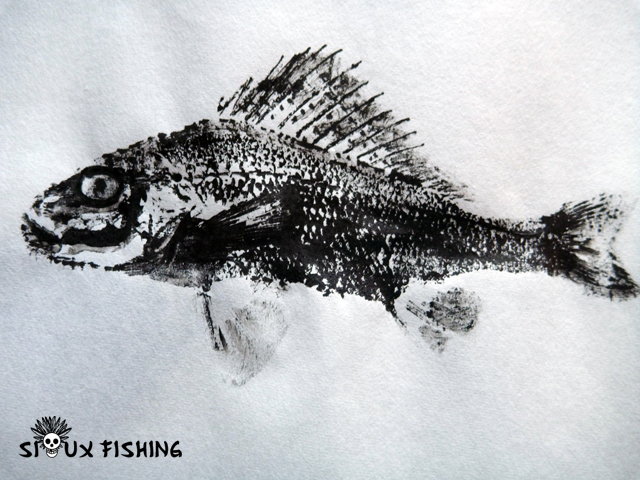 9_Gyotaku-Grémille collection