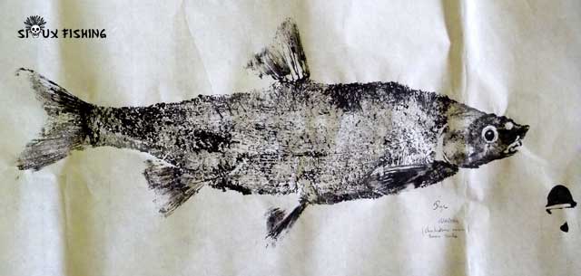 _28_Gyotaku - hotu collection 