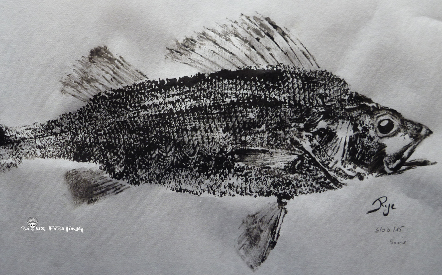 _30_Gyotaku - Perche collection