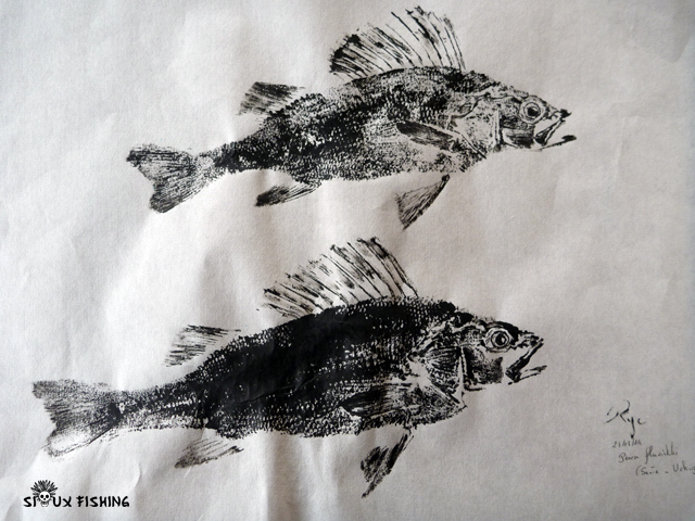 Gyotaku de perche