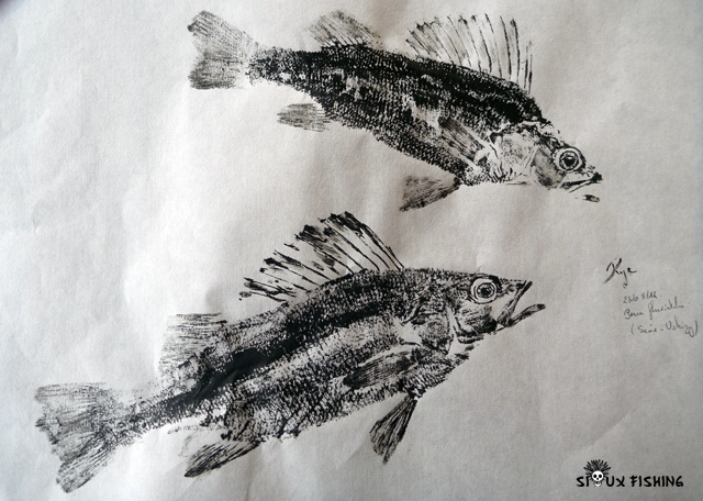 Gyotaku de perche