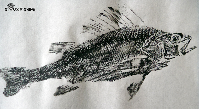 _20_Gyotaku - Perche collection