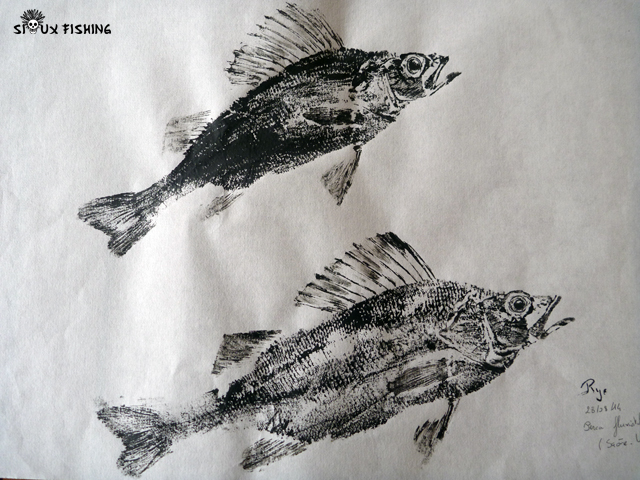 Gyotaku de perche