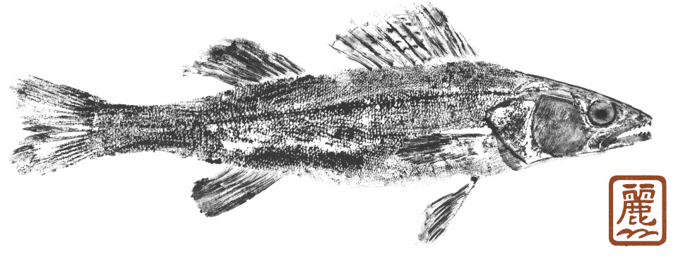 Gyotaku de sandre