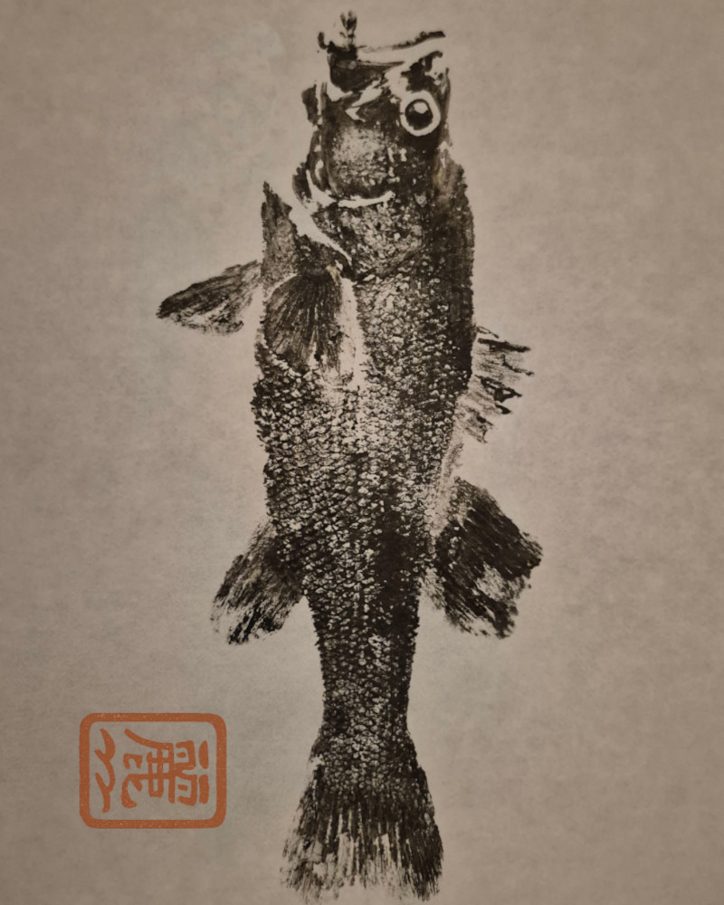 L'Âme des Poissons - Ouverture de ma Boutique de gyotaku