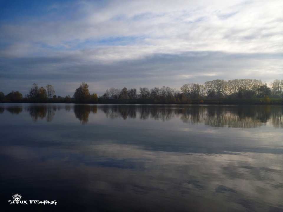 Un coin en bord de Saône