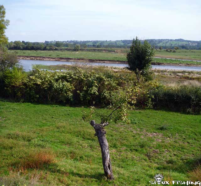 Bord de Loire