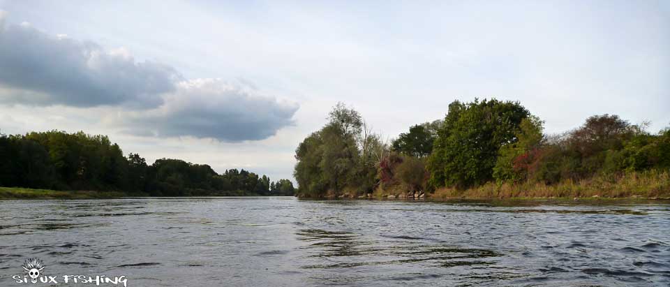 Bord de Loire