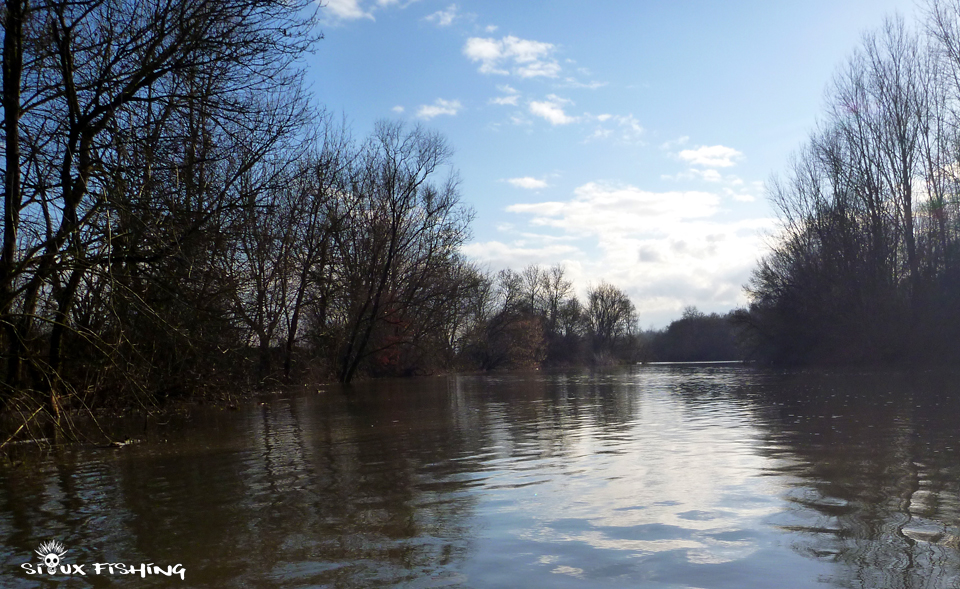 La Seille en hiver