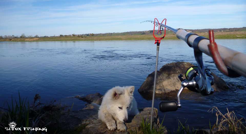 La Loire pêche au feeder