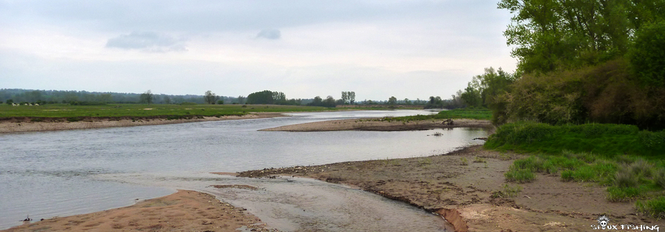 La Loire, un fleuve sauvage