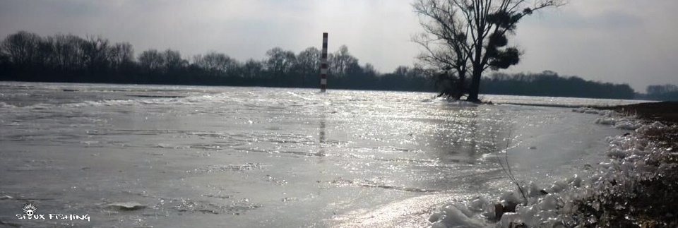 Saône dans la glace