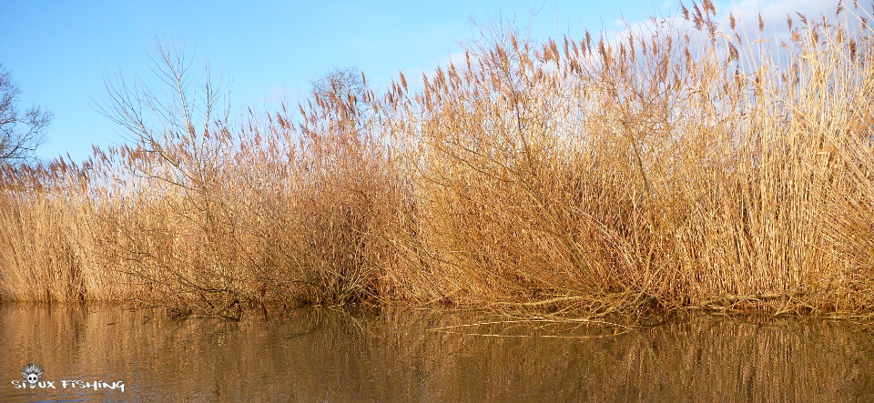 la Seille en hiver