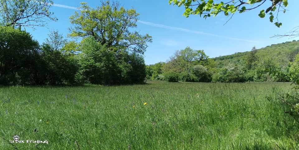 Prairie du Jura