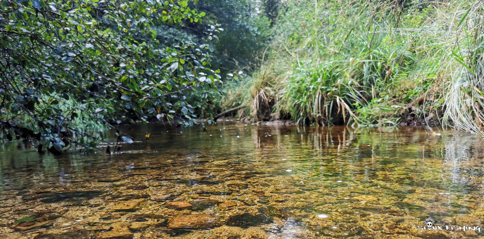 loin dans le Morvan