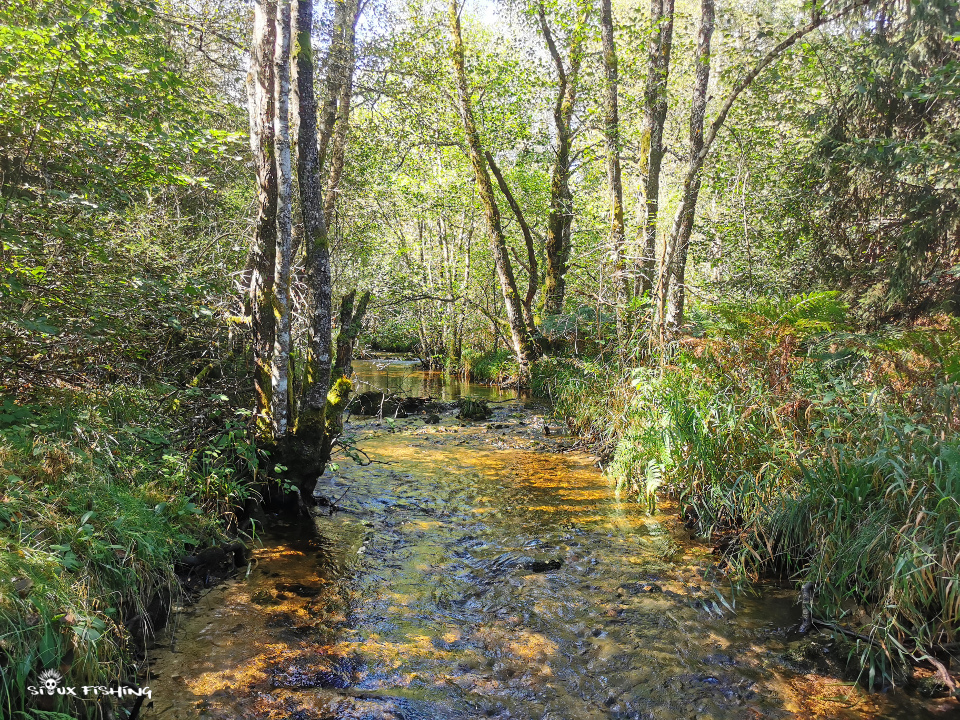 Loin dans le Morvan