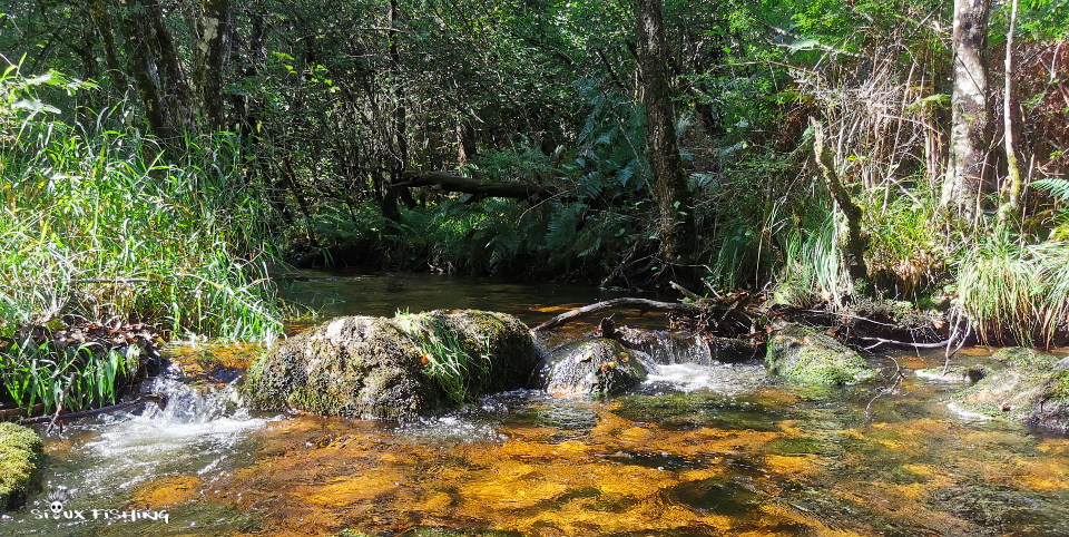 loin dans le Morvan