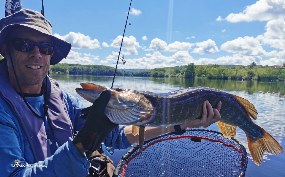 Brochet de Montaubry