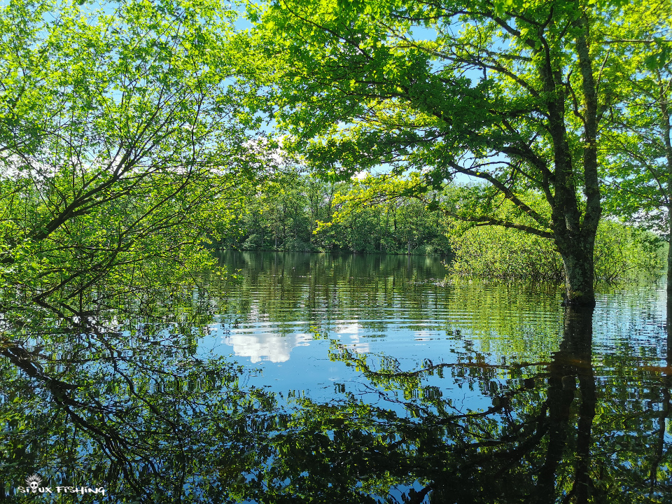 Les pieds dans l'eau -lac de Montaubry