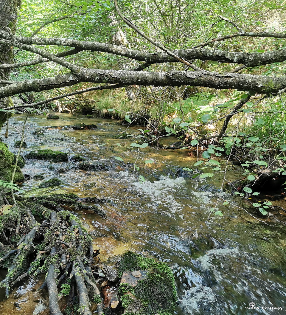 rivière du Morvan