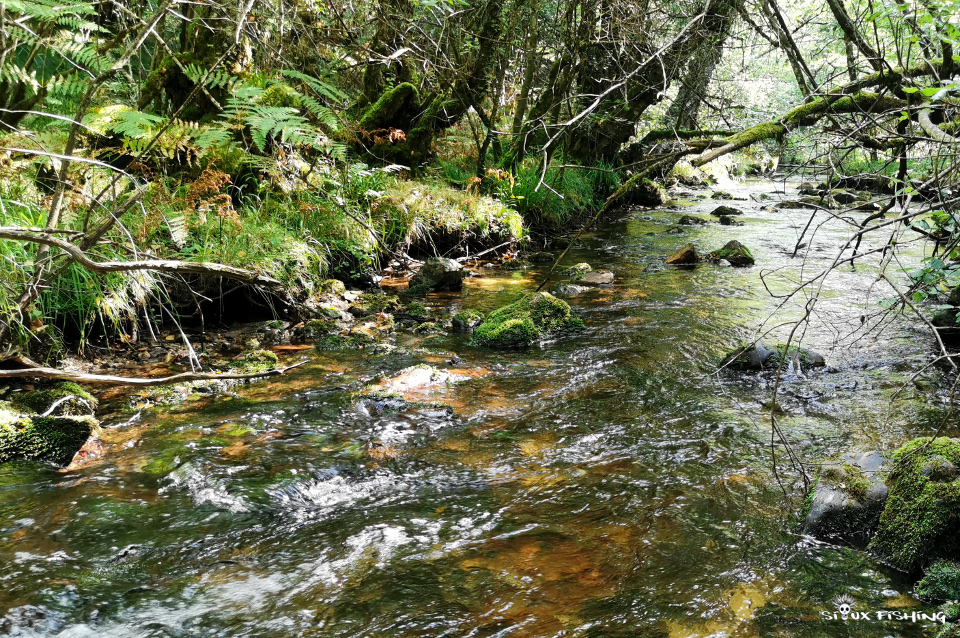 rivière du Morvan