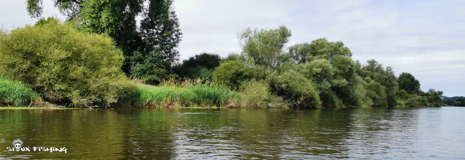 La Loire