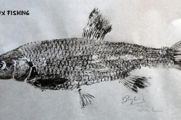 _13_Gyotaku-Chevesne collection